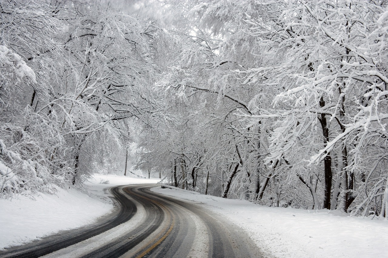 Snow Fall In Roma